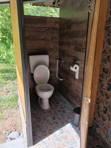 a bathroom with a toilet in a wooden stall at Camping Ciungani in Ciungani