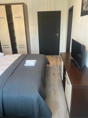 een slaapkamer met een bed en een bureau met een televisie bij Maroon pension in Piešťany