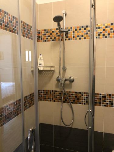 La salle de bains est pourvue d'une douche avec un pommeau de douche. dans l'établissement Sensory Garden, à San Daniele del Friuli