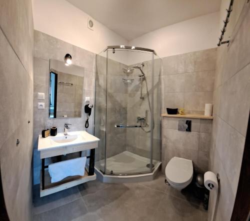 a bathroom with a shower and a toilet and a sink at Willa Sawina in Sromowce Niżne