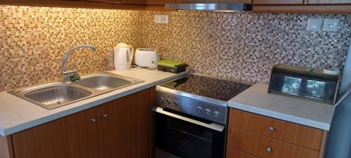 Η κουζίνα ή μικρή κουζίνα στο Eritha Apartments & Studios