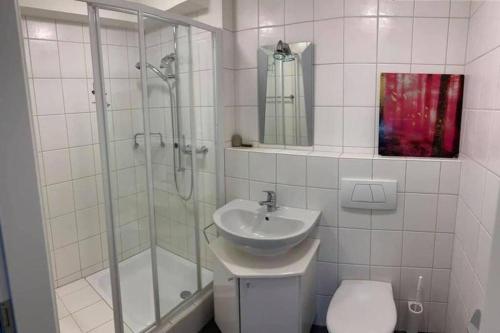 La salle de bains est pourvue d'un lavabo, d'une douche et de toilettes. dans l'établissement Basel - 5 mins away - Modern Basement Studio with Kitchen 35m2 in Muttenz, à Muttenz