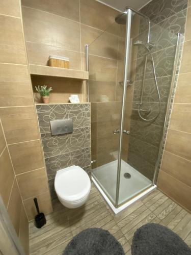 a bathroom with a toilet and a glass shower at Apartament Nova Gniewino in Gniewino