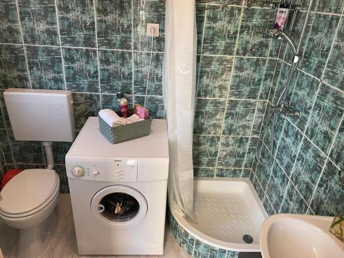 Kylpyhuone majoituspaikassa Apartment Viniška
