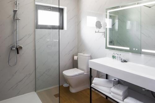 a bathroom with a toilet and a sink and a shower at Hotel Lara in Valença