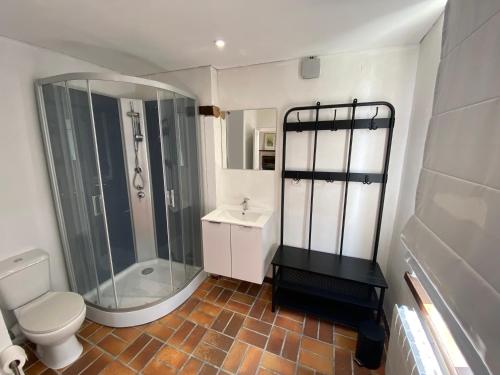 ein Bad mit einer Dusche, einem WC und einem Waschbecken in der Unterkunft La Petite Maison - 8 pers in Walcourt