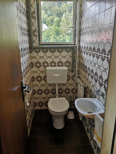 een kleine badkamer met een toilet en een wastafel bij Sobe Zeleni raj in Podnart