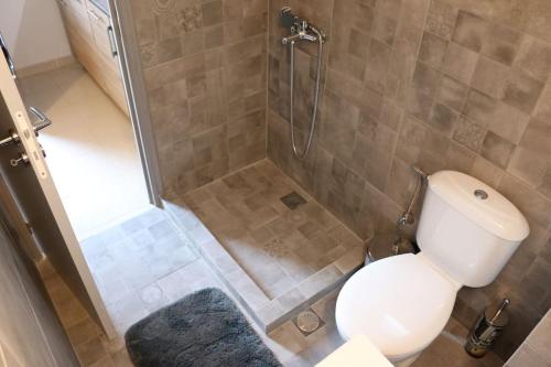 a bathroom with a shower and a white toilet at Summer House with Garden and Fruit Trees in Nea Makri