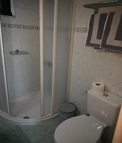 a bathroom with a shower and a white toilet at Anthias Beach Home in Archangelos