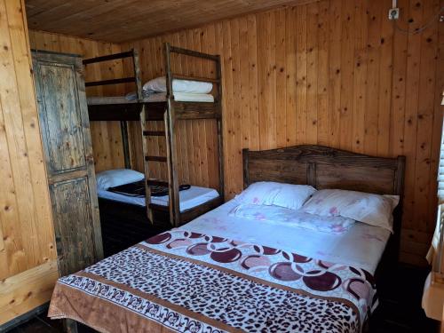 - une chambre avec un lit et deux lits superposés dans l'établissement Casa Cris Will, à Mamaia Nord – Năvodari