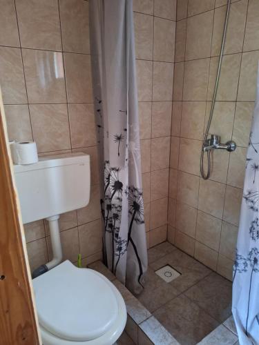 a bathroom with a shower with a toilet and a shower curtain at Casa Cris Will in Mamaia Nord