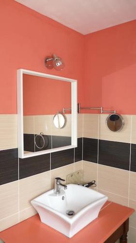 une salle de bain avec un lavabo et un miroir dans l'établissement Gîte La Dolce Vita du Perigord, à Bergerac