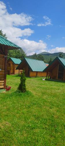 a group of houses in a field of grass at Konaci Očeva Zemlja Vikendica i Bungalovi in Mojkovac