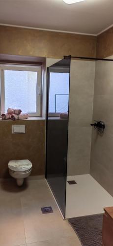 a bathroom with a shower with a toilet and a window at Apartman Hana 2 in Rab