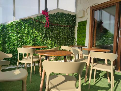 uma fila de mesas e cadeiras em frente a uma parede verde em Jessica Flat GuestHouse , Holiday and Business em Cospicua