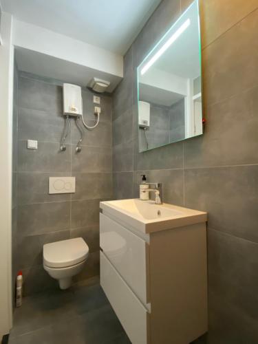 a bathroom with a toilet and a sink and a mirror at Hotelkamer Prinsenstraat with Free Parking in Groningen