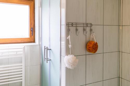 La salle de bains est pourvue d'une douche avec une porte en verre. dans l'établissement Apartment Žalac, à Slunj