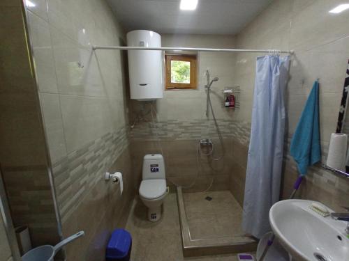 a bathroom with a shower and a toilet and a sink at Art Racha in Ambrolauri