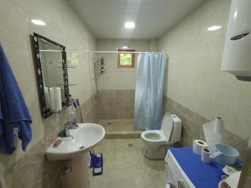 a bathroom with a sink and a toilet and a shower at Art Racha in Ambrolauri