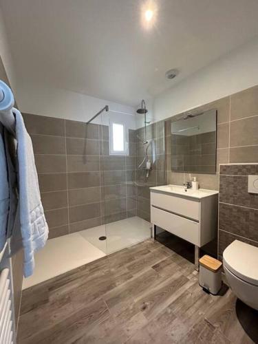 une salle de bain avec une douche, des toilettes et un lavabo dans l'établissement La Forêt d'Armotte villa 14, à Saint-Augustin