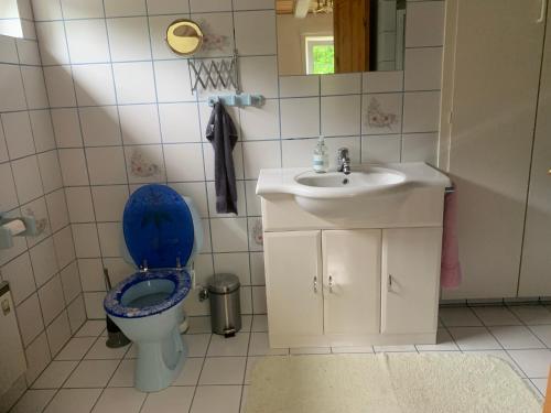 Idestrup的住宿－Romantic Luxus Glamping 3，浴室设有蓝色的卫生间和水槽。