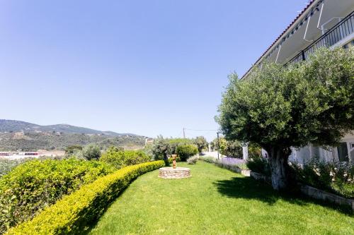 Gallery image of Dohos Skiathos Suites in Skiathos Town