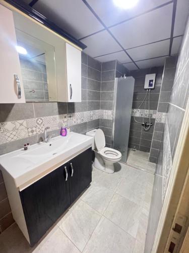 uma casa de banho com um lavatório, um WC e um chuveiro em kızıl apart em Buca