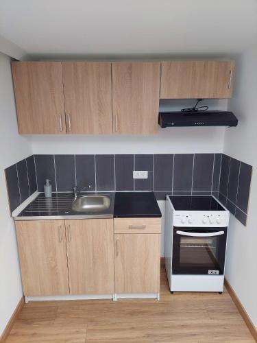 une petite cuisine avec un évier et une cuisinière dans l'établissement Cosy 4 - Lunéville centre, à Lunéville