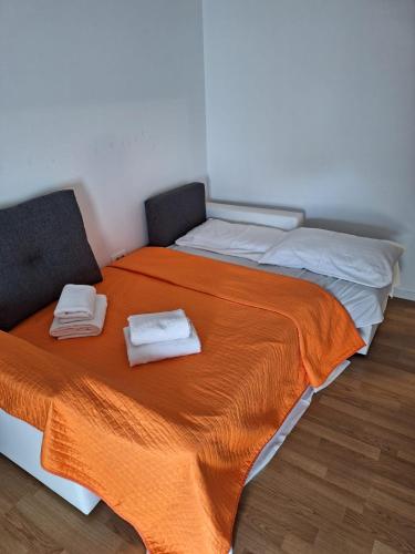 Big apartment near center