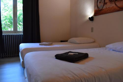 a room with two beds and a window at Hôtel Restaurant des Lacs in Chaux-des-Crotenay