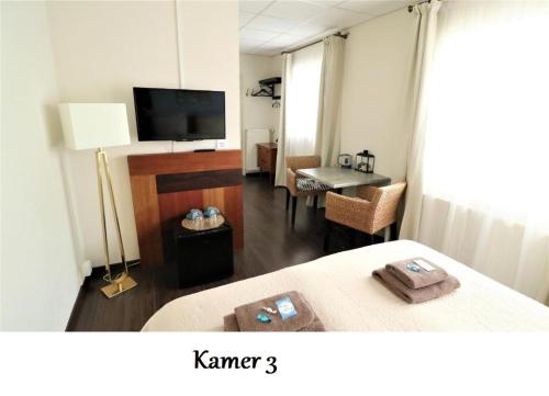 een hotelkamer met een bed en een televisie bij Zeelui in Egmond aan Zee