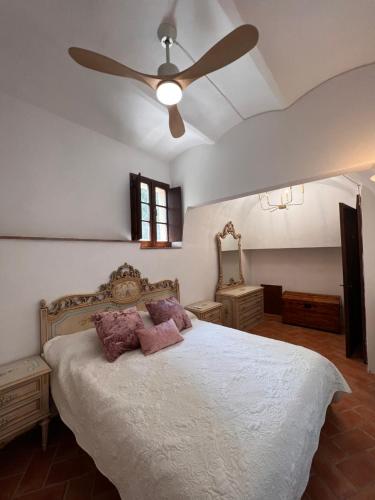 a bedroom with a bed with a ceiling fan at Antica Colombaia in Volterra