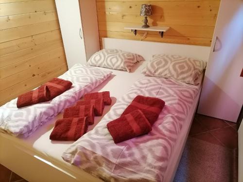 twee bedden in een kamer met rode kussens erop bij Apartma Suzy in Pobegi