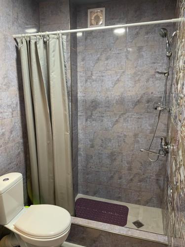 La salle de bains est pourvue d'une douche, de toilettes et d'un rideau de douche. dans l'établissement Hotel Legiandro Surami, à Surami