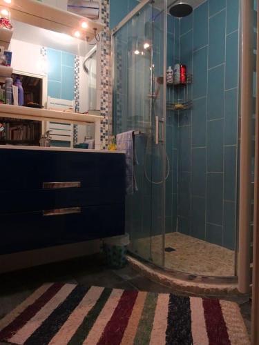 une salle de bain avec une douche avec une porte vitrée dans l'établissement Appartement tranquille avec jardin et piscine, à Fréjus