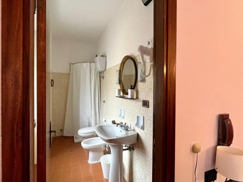 a bathroom with two toilets and a sink and a mirror at Hotel Stella Alpina in Villalago