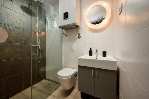 uma casa de banho com um WC, um lavatório e um chuveiro em Apartments Ziggy Star em Slatine