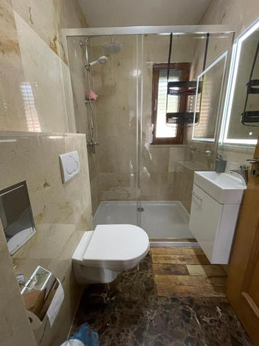 een badkamer met een douche, een toilet en een wastafel bij Apartament "On the wave" - Willa Salena in Slatine