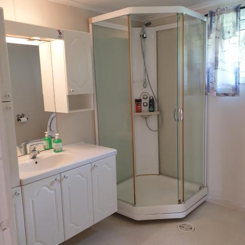 a bathroom with a shower and a sink at Gårdshuset Håverstad in Iveland