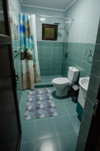 a bathroom with a toilet and a shower and a sink at Pensiunea Alexandra in Miceşti
