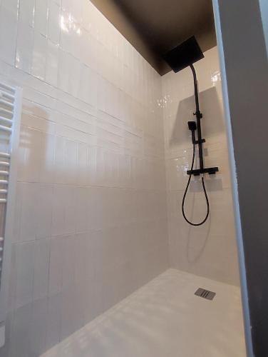a bathroom with a shower stall with a shower at Le clos des crins in Pavilly