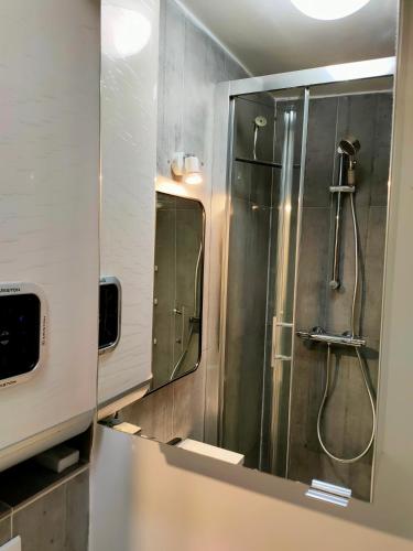 une salle de bain avec douche et miroir dans l'établissement Studio charme Haut-Marais, à Paris