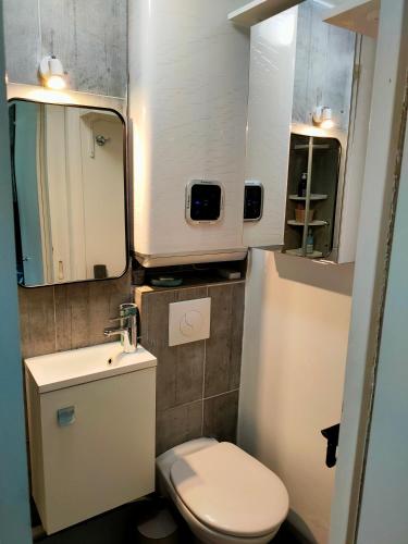 une petite salle de bain avec toilettes et lavabo dans l'établissement Studio charme Haut-Marais, à Paris