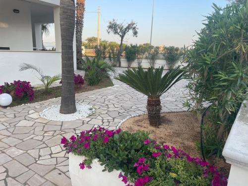 a garden with purple flowers and a palm tree at Bed and breakfast KALE ' in Porto Cesareo