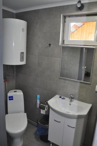 łazienka z toaletą, umywalką i oknem w obiekcie Кукул w mieście Worochta