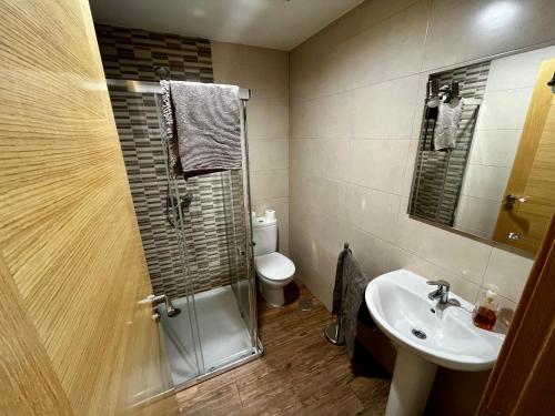 a bathroom with a shower and a sink and a toilet at Lotila Flats L'Infiestu in Infiesto