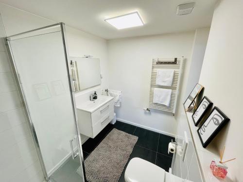 a bathroom with a shower and a toilet and a sink at Ferienwohnung am Ilmenauradweg 