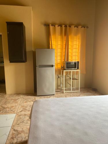 a kitchen with a refrigerator and a microwave at Marshan villa in Montego Bay