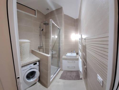 La salle de bains est pourvue d'un lavabo et d'un lave-linge. dans l'établissement BLUMENTHAL, à Épinay-sur-Seine