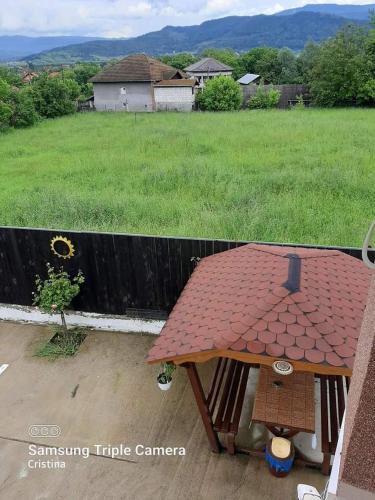 a picnic table in a yard with a field at Casa Trache in Călimăneşti